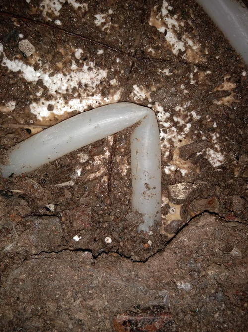 蓝山堵点精准查找